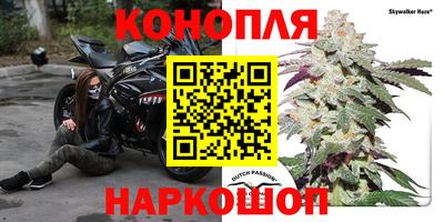 стафф Усть-Джегута