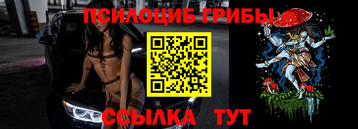 Псилоцибиновые грибы GOLDEN TEACHER  Псилоцибиновые грибы MAGIC MUSHROOMS  хочу наркоту  Вход с VPN  Надым 
